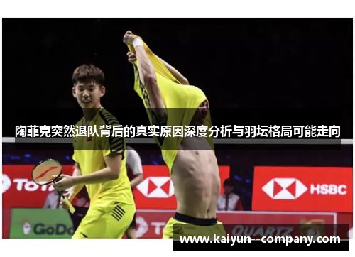 陶菲克突然退队背后的真实原因深度分析与羽坛格局可能走向 陶菲克突然退队背后的真实原因深度分析与羽坛格局可能走向