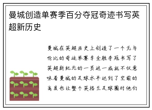 曼城创造单赛季百分夺冠奇迹书写英超新历史